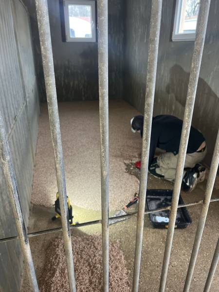 Pose de sol souple pour box à chiens à Chatillon la Palud par Signature Résine spécialiste du revêtement souple